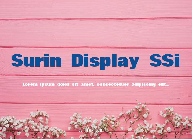 Surin Display SSi example